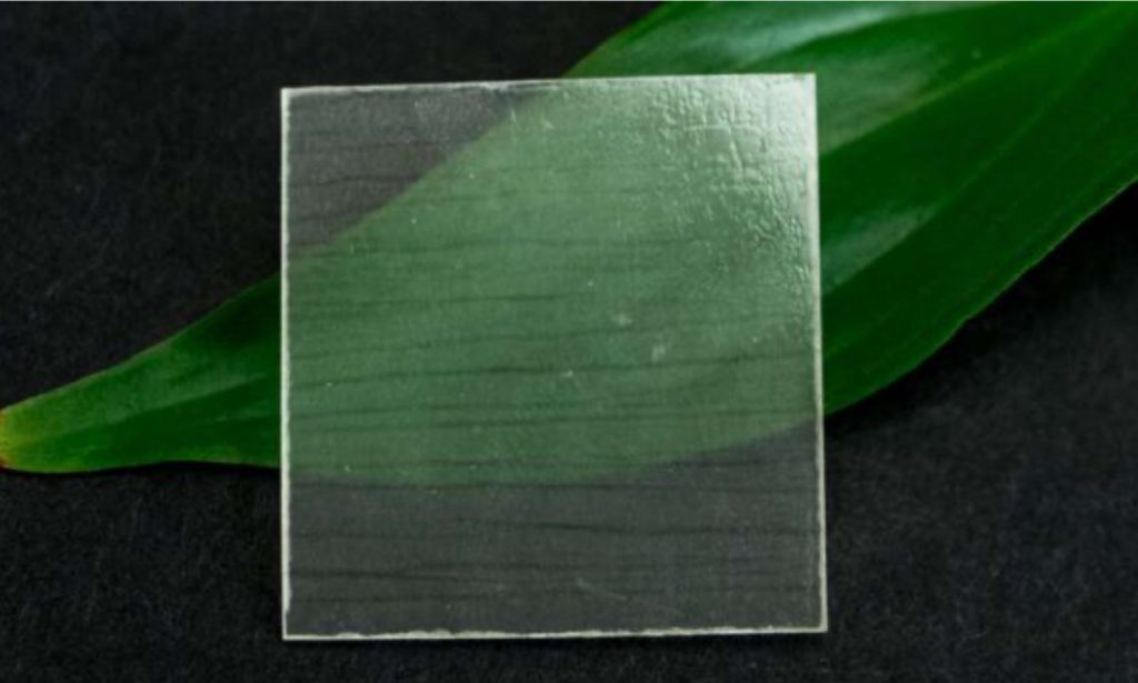 прозору деревину