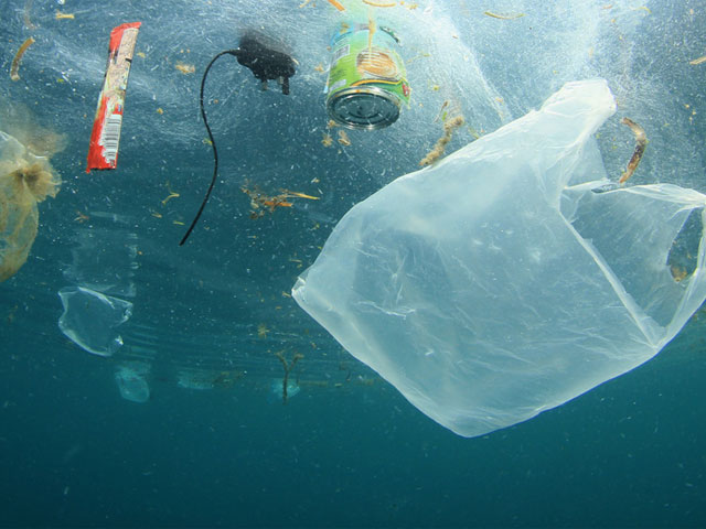 Верховна Рада підтримала закон щодо заборони поліетиленових пакетів та запропонувала ввести штрафи до 8500 гривень за їх використання