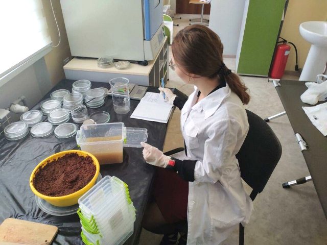 Маріупольська студентка винайшла метод виготовлення еко-упаковки з каштанів та стала лауреатом V міжнародного конкурсу iCAN