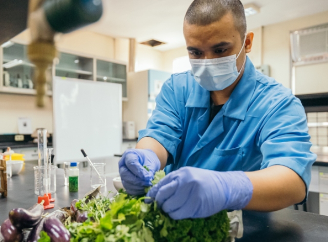 Харчові відходи як основний матеріал для виробництва сонячних панелей